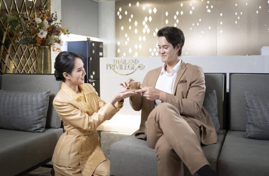 PE vs. SE Visas Explained: What Does Your Privilege Sticker Actually Mean?